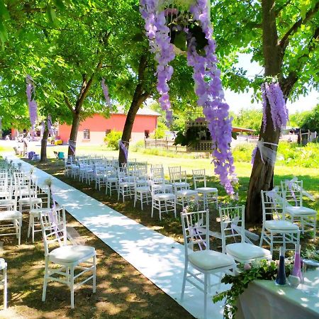 Agriturismo Corte Dei Landi Cade Εξωτερικό φωτογραφία
